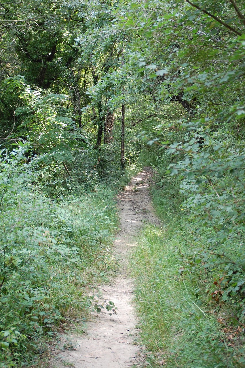 Weg Natur Kostenloses Foto Auf Pixabay Weg natur kostenloses foto auf pixabay