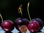 cherries, large, huge