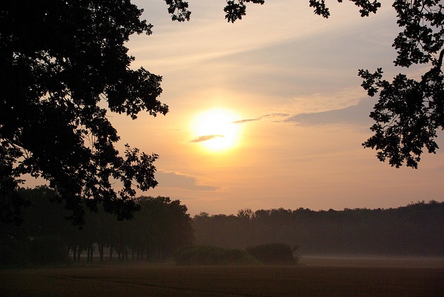 Free Sun Fog photo and picture