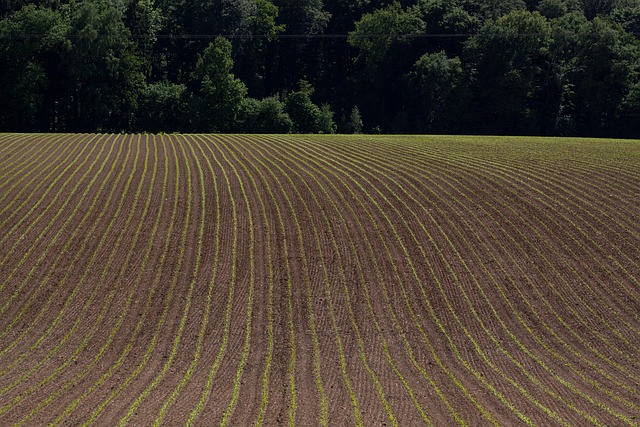 Free Landscape Fields photo and picture