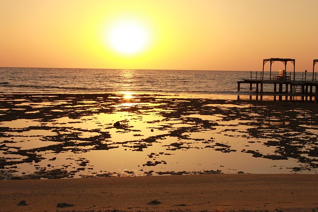 Free Ebb Sea photo and picture