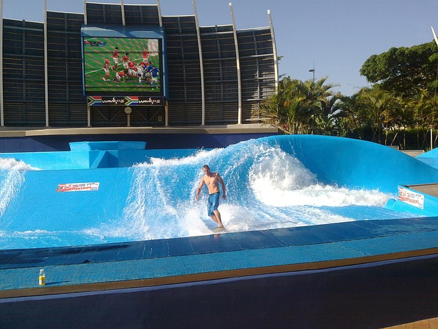 Free Surfing Surfer photo and picture