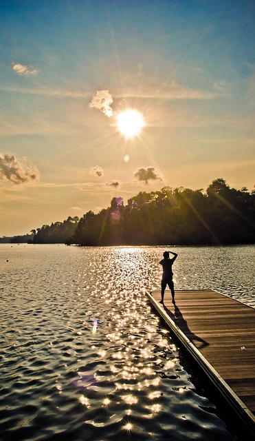 Free Lightseeker Sun photo and picture