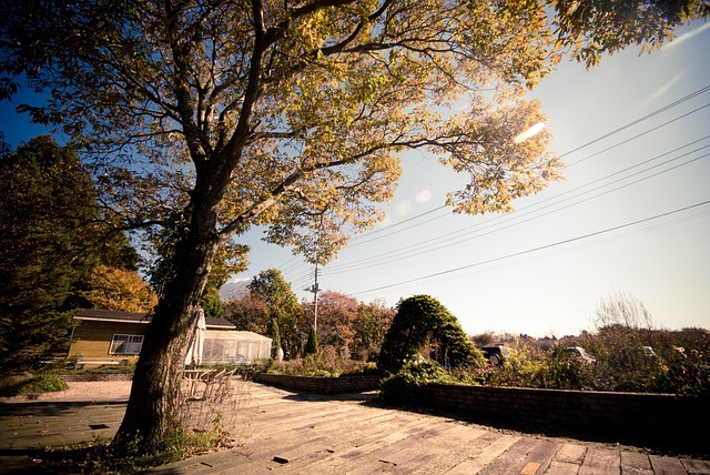 Free Country House photo and picture