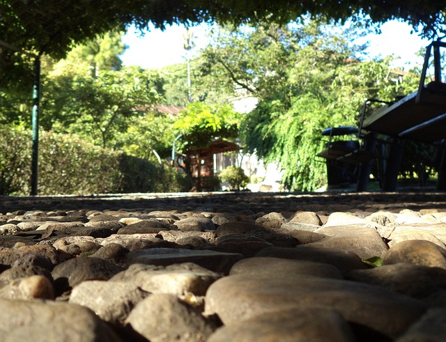 Steine, Garten, Vegetation, Oriental