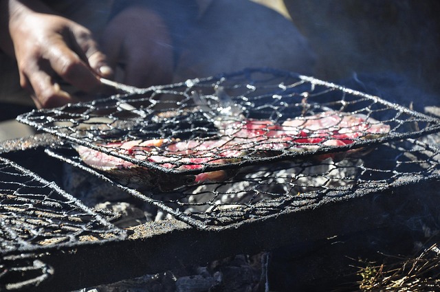 Free The Wild Grilled Fish photo and picture