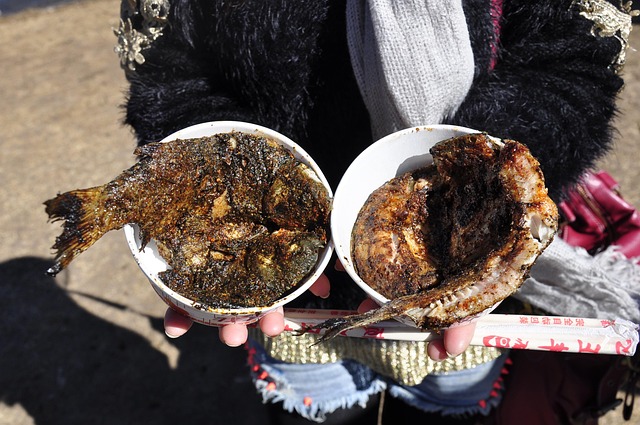Free The Wild Grilled Fish photo and picture