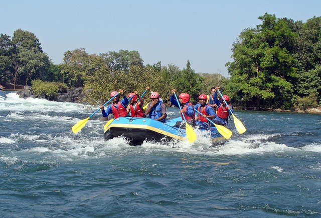 Free Kali River Dandeli photo and picture
