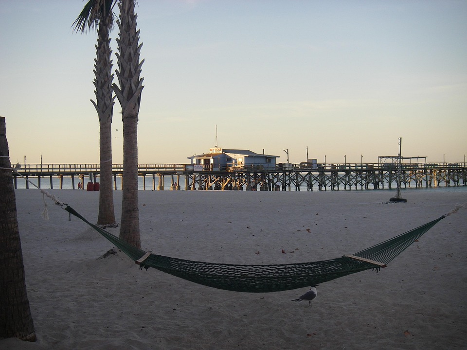 Free photo Hammock, Beach, Florida, Gulf Coast Free Image on Pixabay
