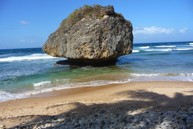Free Barbados Beach photo and picture