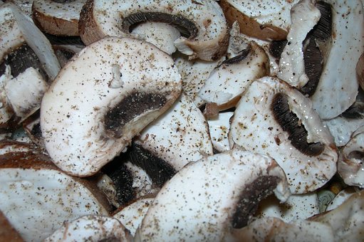 Campeões, Cogumelos, Refeição, Comida