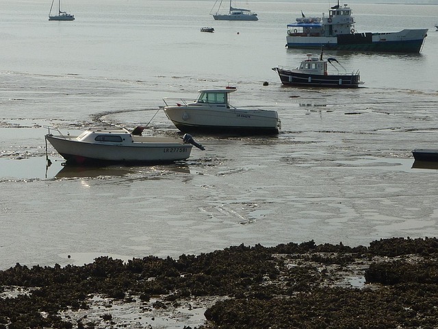 Barcă, Râs, Ocean