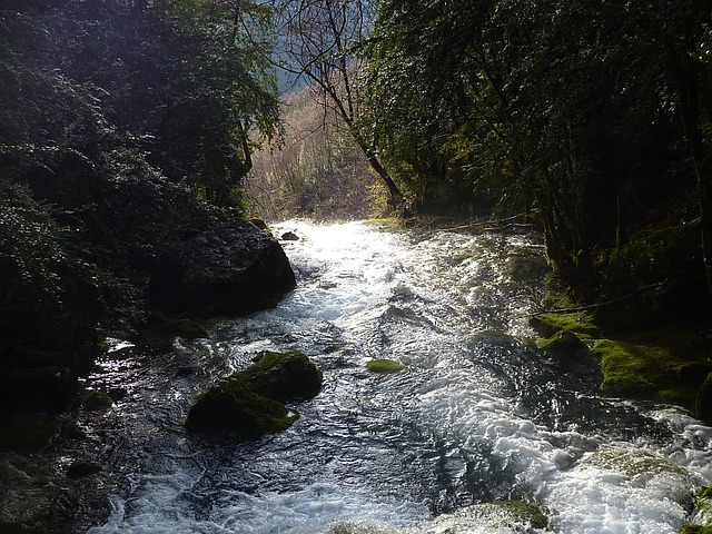 Râul, Poze Pentru, Rock