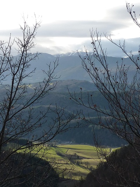 Copac, Munte, Natura, Înfundat