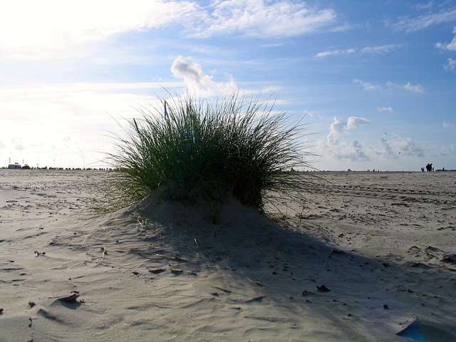 Free Beach Nature photo and picture