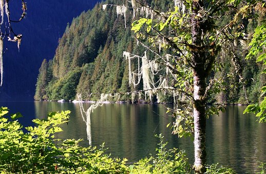 Free Nature Water photo and picture