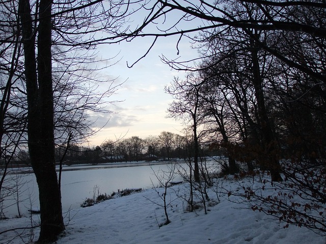 Free Snow Winter photo and picture