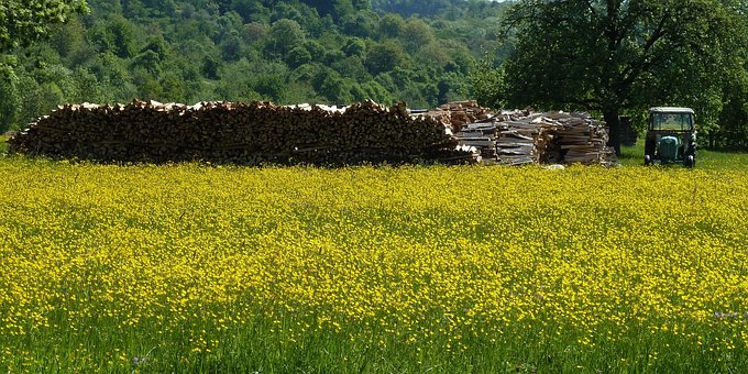 Trator, Tratores, Panorama, Natureza