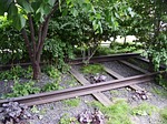 new york, garden, the high line