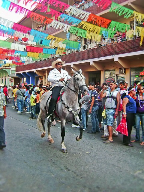 Carnaval, Piloto, Cavalo, Cor