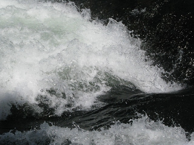 Parque Nacional Yellowstone, Lago