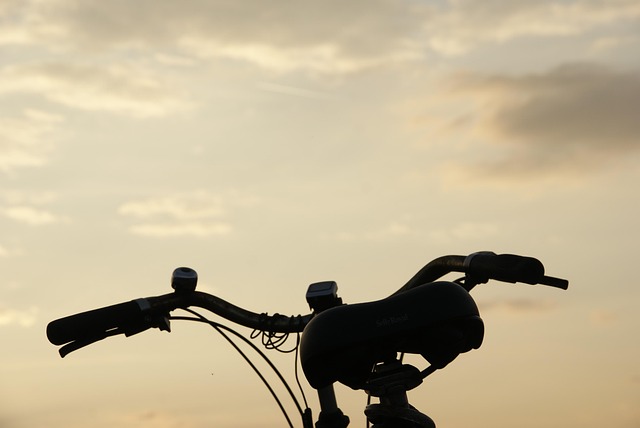 Free Heaven Bicycle photo and picture