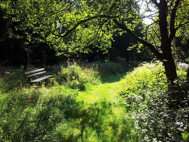 Free Resin Nature photo and picture