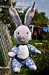rabbit, toy, hanging