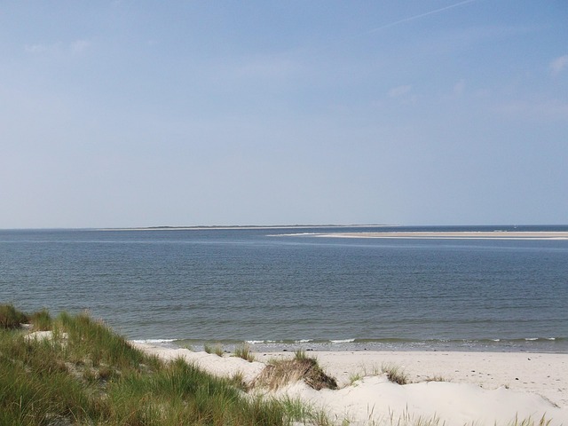 Free Sea Beach photo and picture