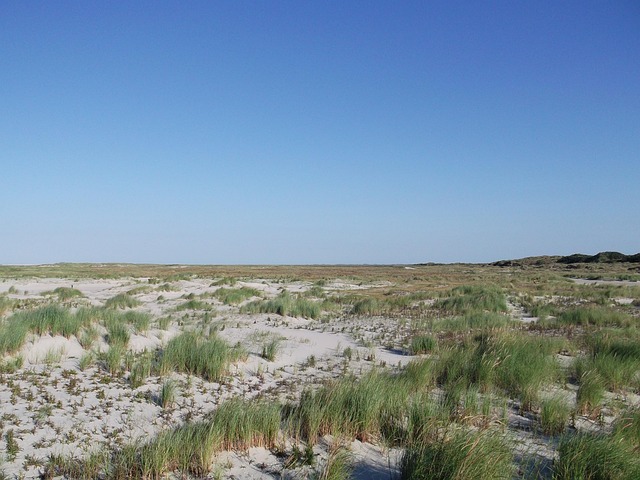 Free Sea Nature photo and picture