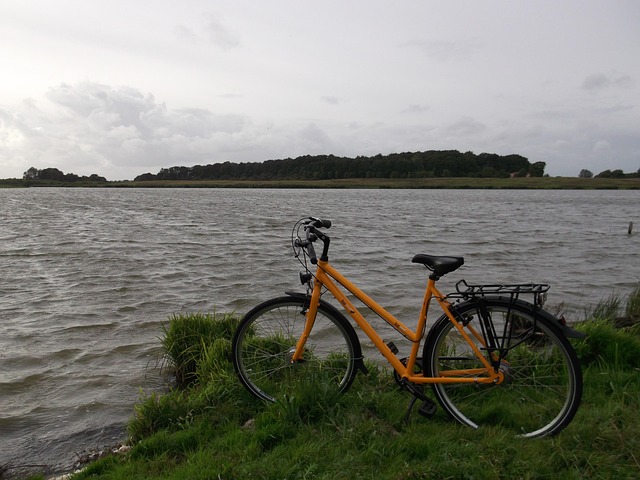 Free Lake Bicycle photo and picture