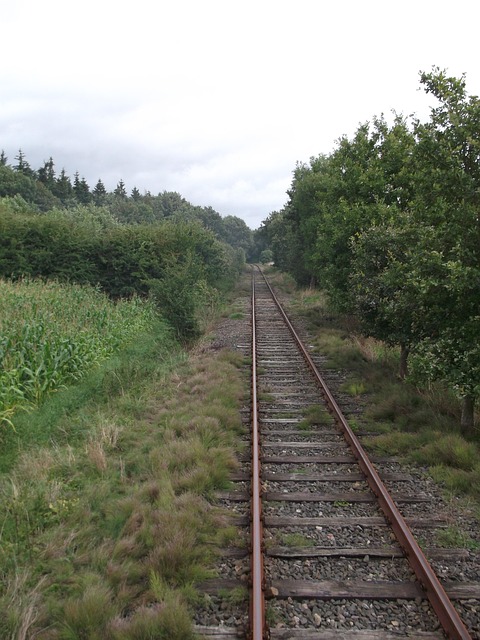 Free Railroad Rails photo and picture