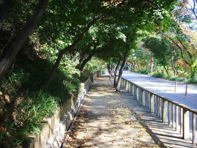 Free Republic Of Korea Road photo and picture