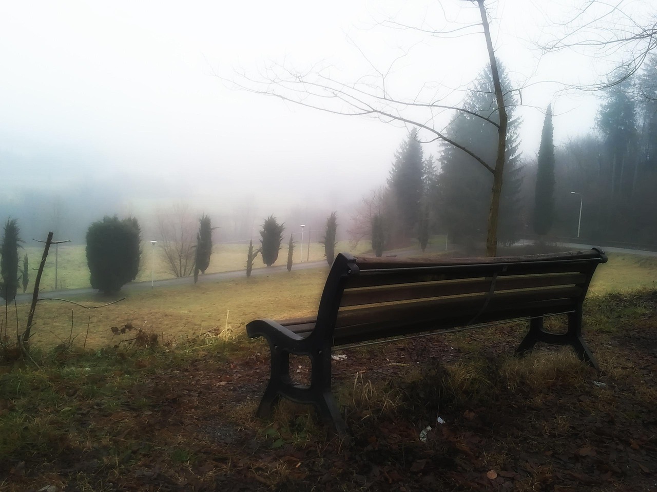 Celana - free online jigsaw puzzle photo