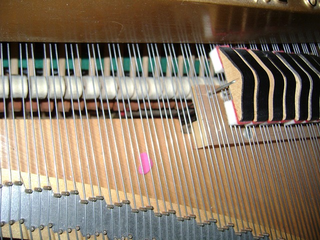 Free Piano Hammers Piano Strings photo and picture