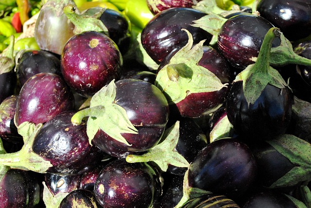 Free Eggplants Vegetables photo and picture