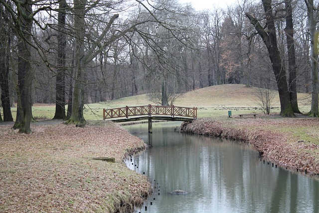 Free Park Water photo and picture