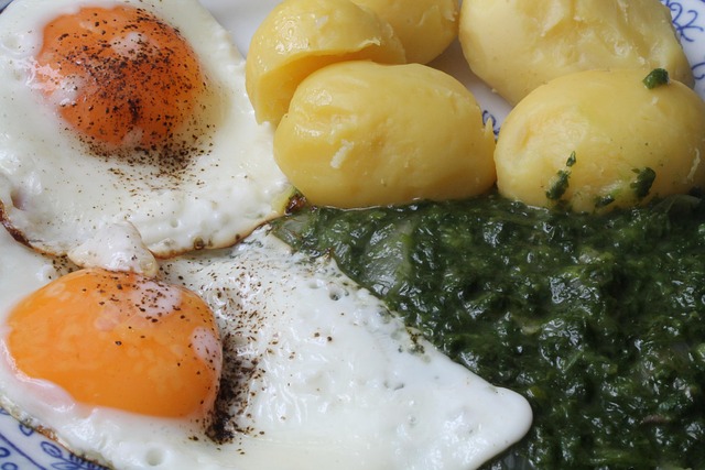 Free Meal Fried Egg photo and picture