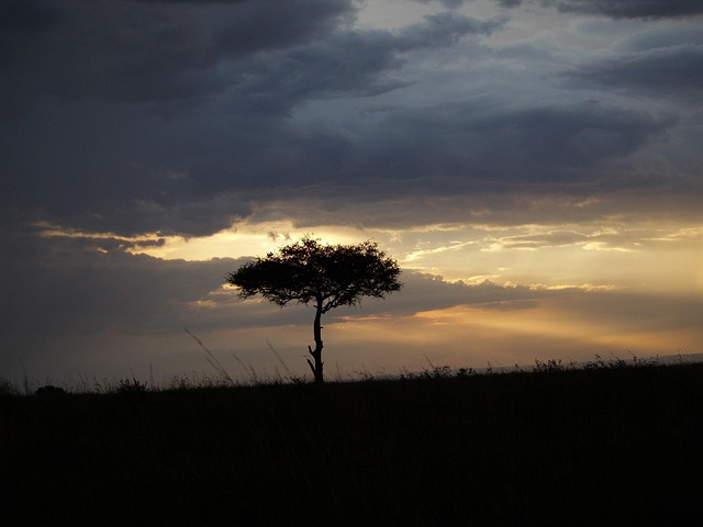 Free Sunset Nature photo and picture