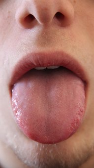Lengua, La Boca, MamÃÂferos, Humana