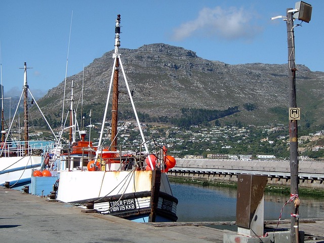 Både, Cape Town, Havn, Skib