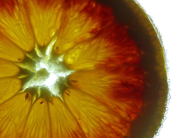 Free Orange Fruit photo and picture