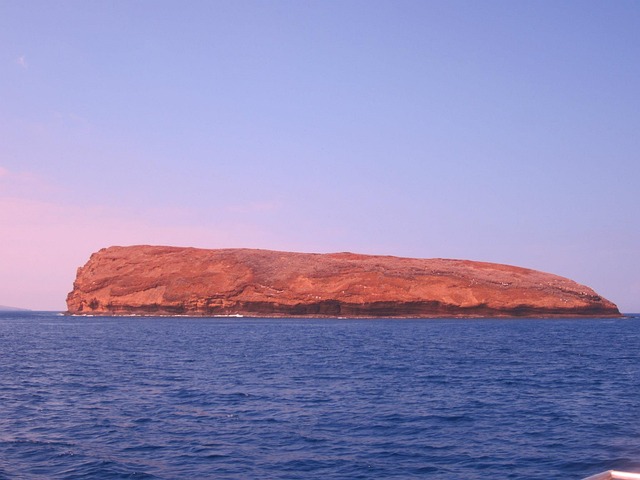 Free Exploring Island photo and picture