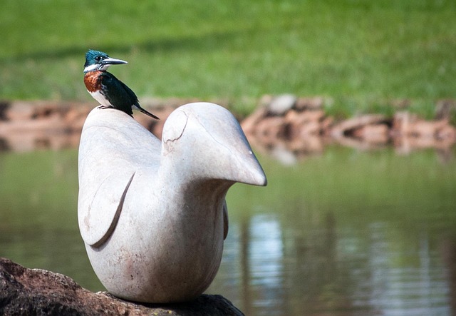 Free Statue Bird photo and picture