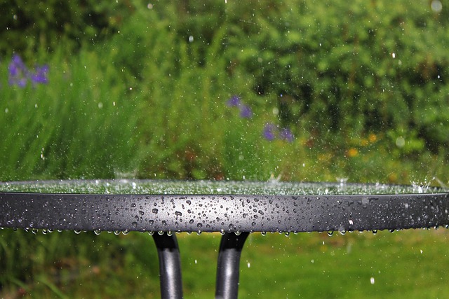 雨, 自然, 表, 湿, 滴灌, 水, 雨滴, 草, 性质, 表顶部