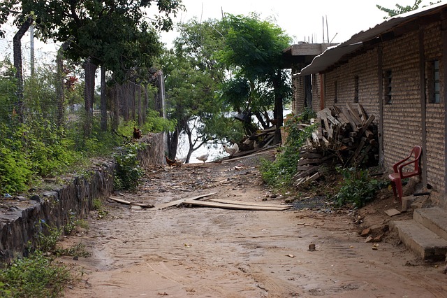 Free Street Dead End photo and picture