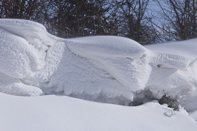 Free Winter Nature photo and picture