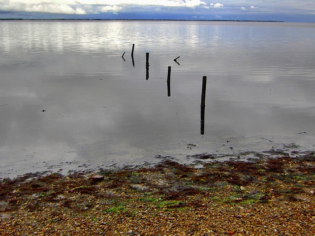 Free North Sea Watt photo and picture