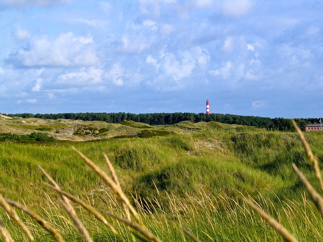 Free Sand Dunes Lighthouse photo and picture