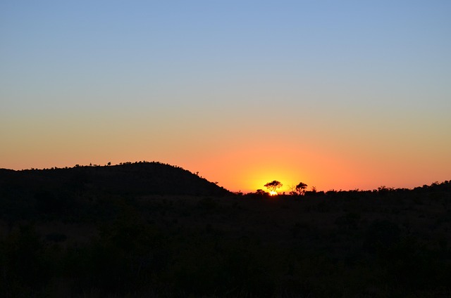 africa, african sunset, sunset, south africa, safari, silhouette, wild, orange, summer, yellow, nature, beautiful, african sunset, african sunset, african sunset, african sunset, african sunset